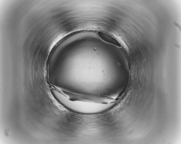 X0000093220944200710241214