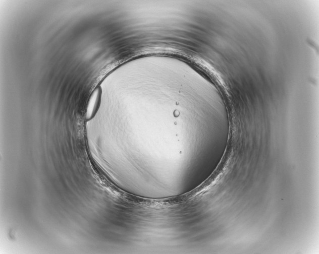 X0000093220945200710241214