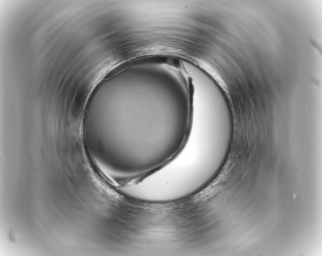 X0000093220946200710241214