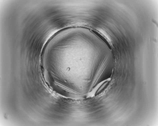 X0000093220948200710241214