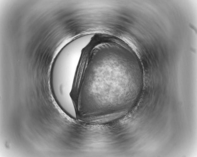 X0000093220949200710241214