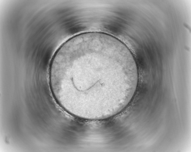 X0000093220950200710241214