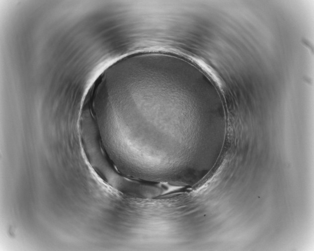 X0000093220951200710241214