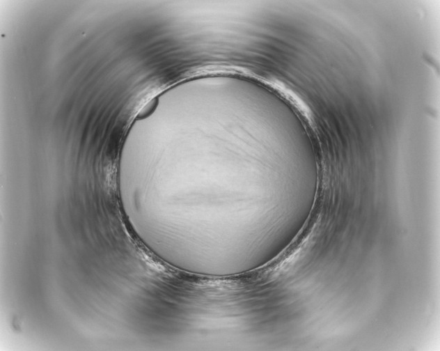 X0000093220953200710241214