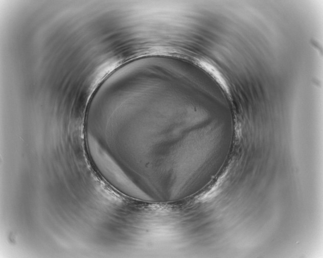 X0000093220954200710241214