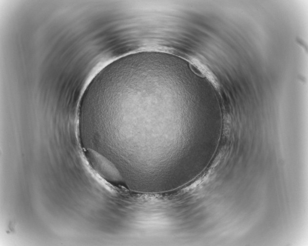 X0000093220955200710241214