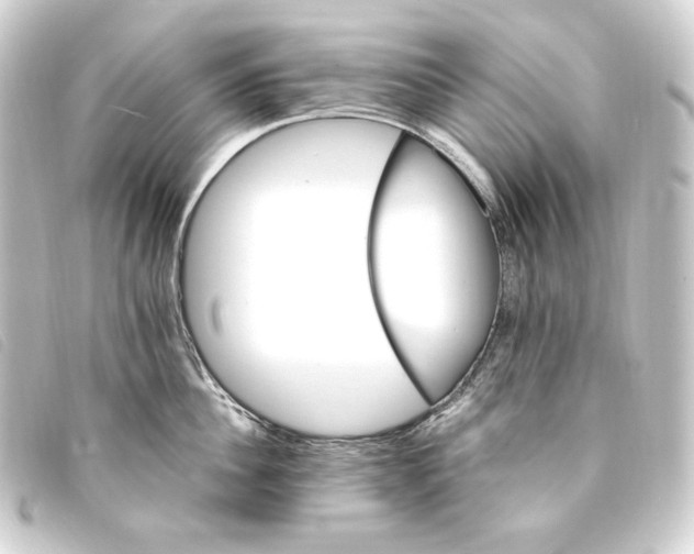 X0000093220956200710241214