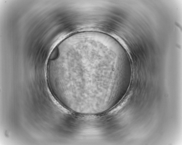 X0000093220957200710241214