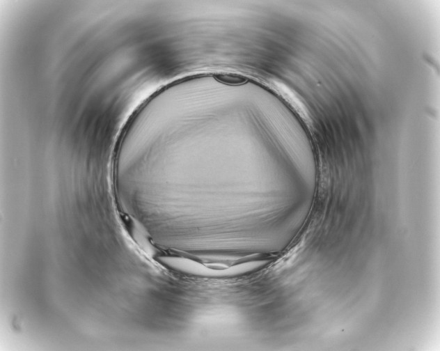 X0000093220958200710241214