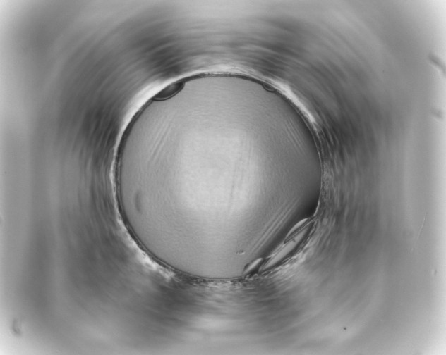 X0000093220959200710241214