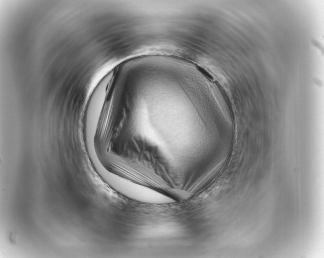 X0000093220960200710241214