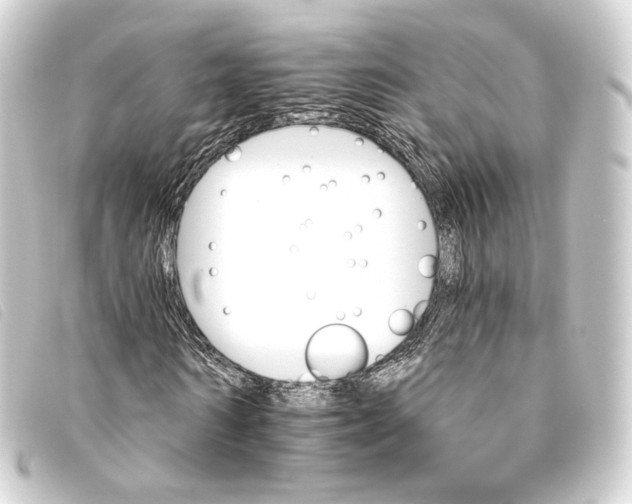 X0000093220962200710241213