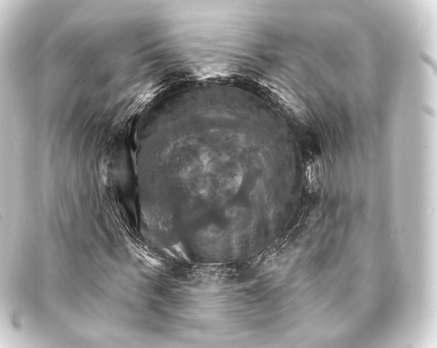 X0000093220963200710241213