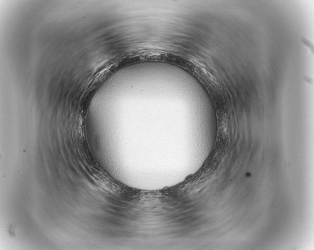 X0000093220964200710241213