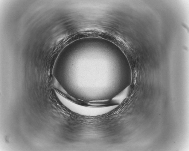 X0000093220965200710241213