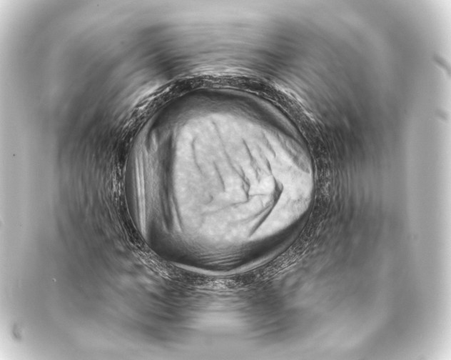 X0000093220966200710241213