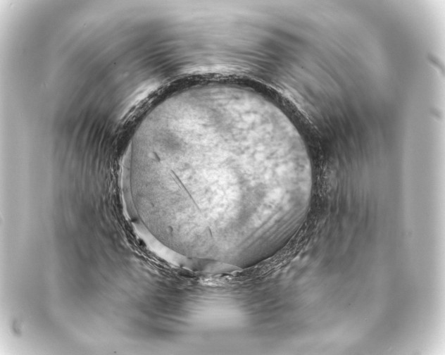 X0000093220967200710241213