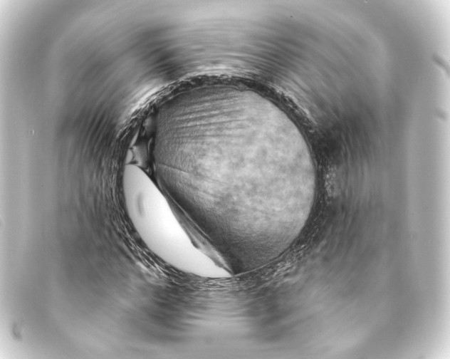 X0000093220968200710241213