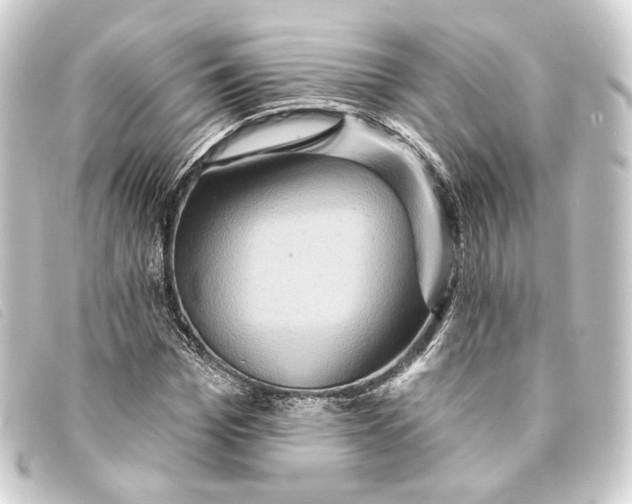 X0000093220969200710241213