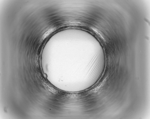 X0000093220970200710241213