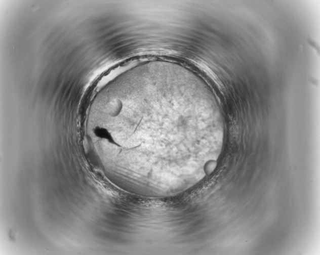 X0000093220971200710241213