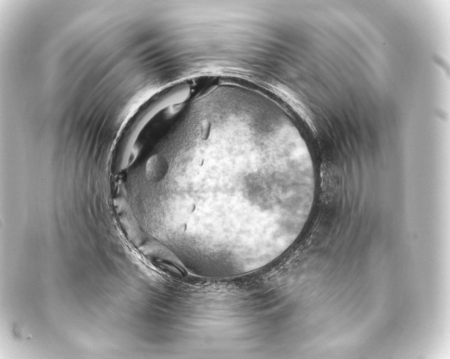 X0000093220972200710241213