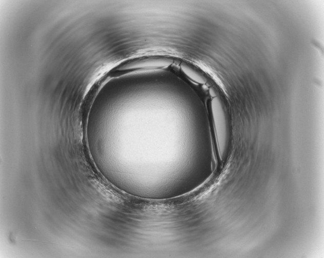 X0000093220973200710241213