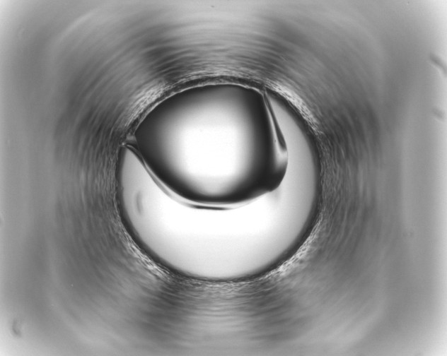 X0000093220977200710241213