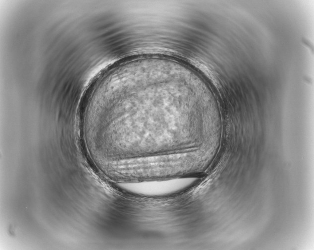 X0000093220979200710241213