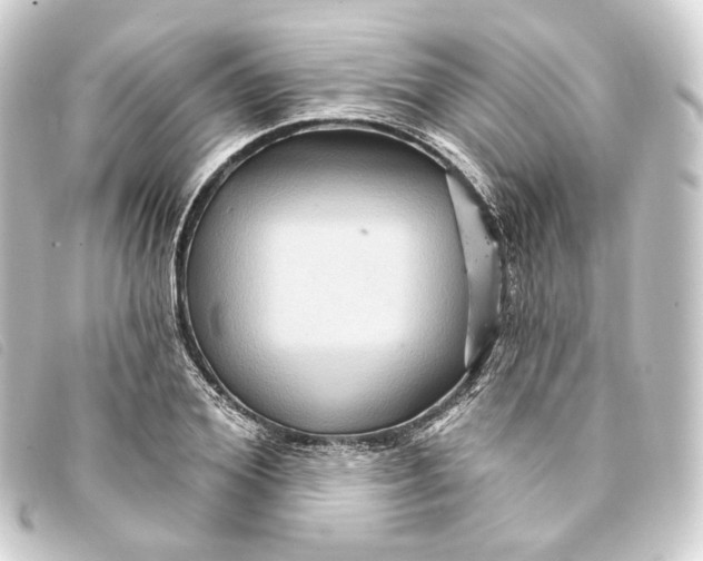 X0000093220980200710241213