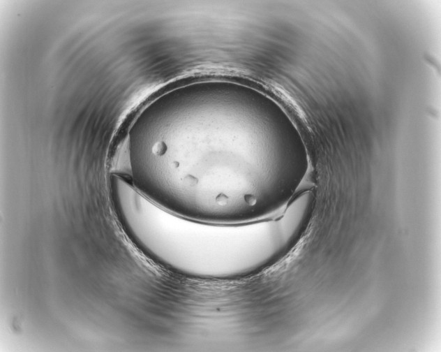 X0000093220981200710241213