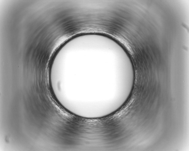 X0000093220982200710241213