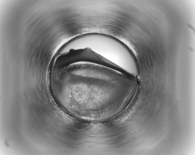 X0000093220983200710241213