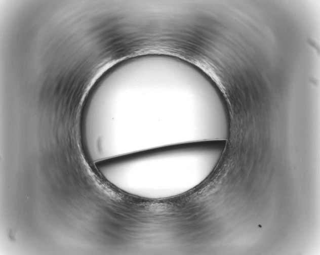 X0000093220984200710241213