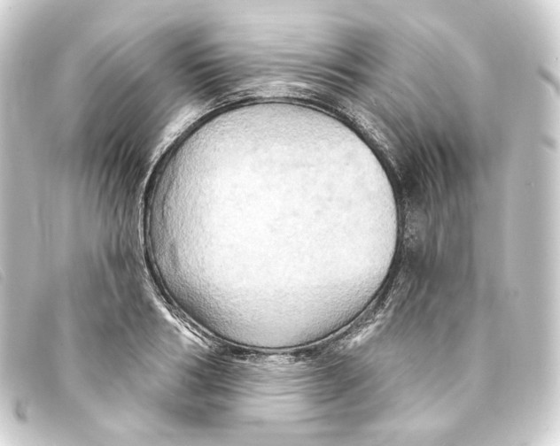 X0000093220986200710241213