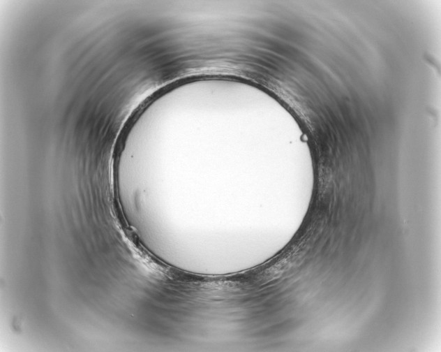 X0000093220988200710241213