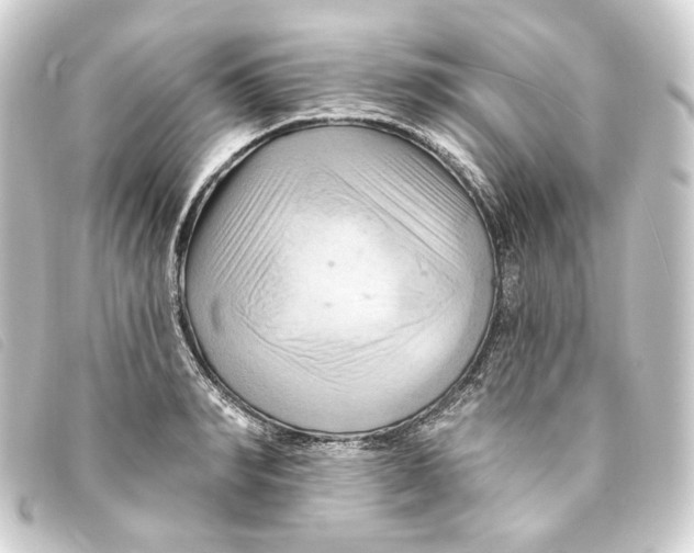 X0000093220990200710241213