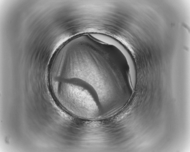 X0000093220991200710241213