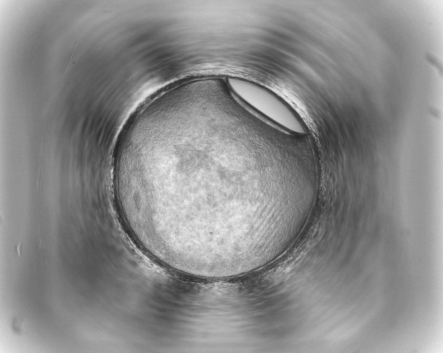 X0000093220992200710241213