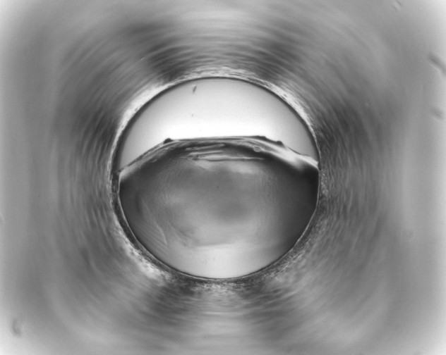 X0000093220995200710241213