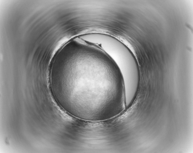 X0000093220997200710241213