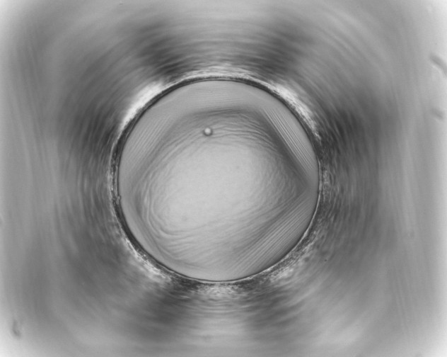 X0000093220998200710241213