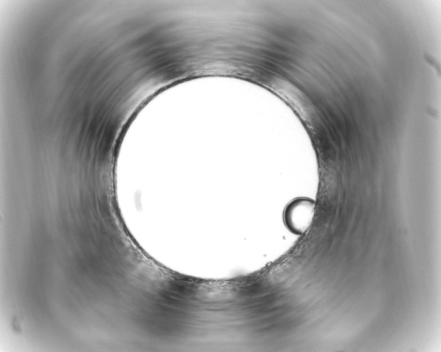 X0000093221000200710241213