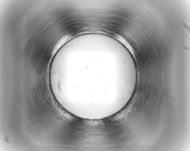 X0000093221002200710241213