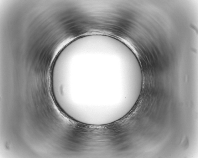 X0000093221003200710241213