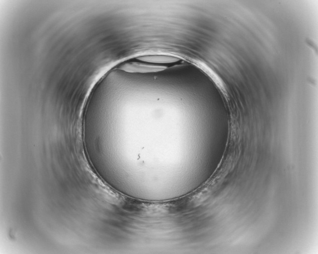 X0000093221004200710241213