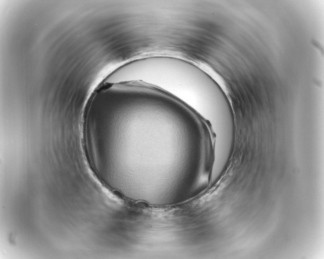 X0000093221005200710241213