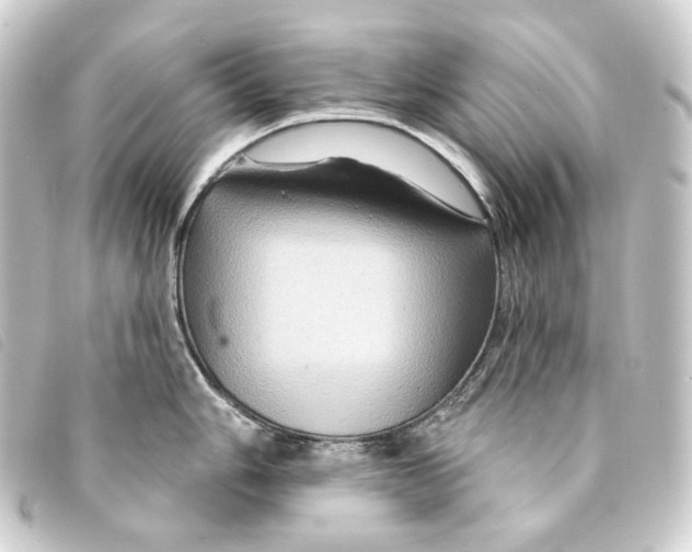 X0000093221006200710241213