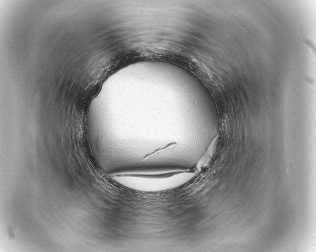 X0000093221012200710241212