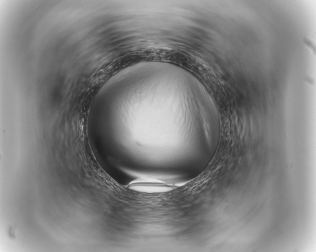 X0000093221013200710241212